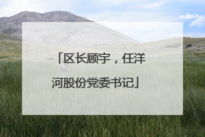 区长顾宇，任洋河股份党委书记