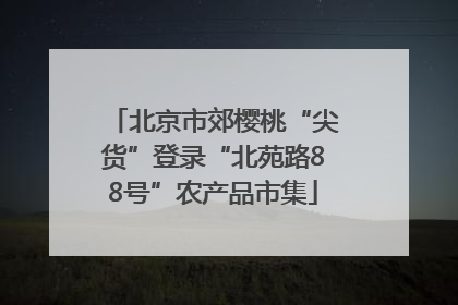 北京市郊樱桃“尖货”登录“北苑路88号”农产品市集