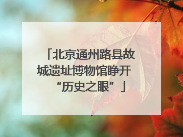 北京通州路县故城遗址博物馆睁开“历史之眼”