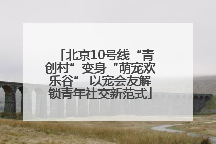 北京10号线“青创村”变身“萌宠欢乐谷” 以宠会友解锁青年社交新范式