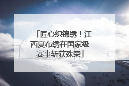 匠心织锦绣！江西夏布绣在国家级赛事斩获殊荣