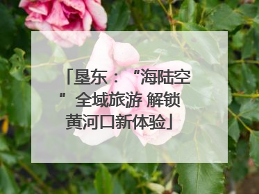 垦东：“海陆空”全域旅游 解锁黄河口新体验