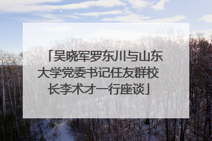 吴晓军罗东川与山东大学党委书记任友群校长李术才一行座谈