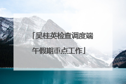 吴桂英检查调度端午假期重点工作