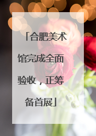 合肥美术馆完成全面验收，正筹备首展