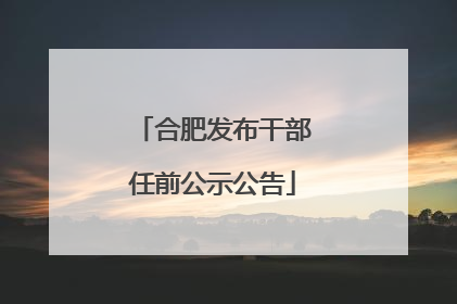 合肥发布干部任前公示公告