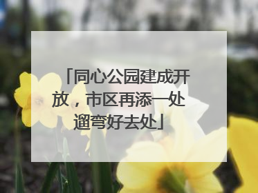 同心公园建成开放，市区再添一处遛弯好去处