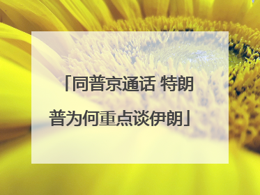 同普京通话 特朗普为何重点谈伊朗