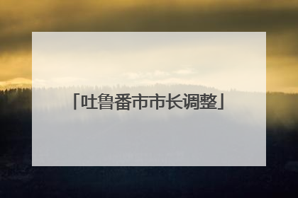 吐鲁番市市长调整