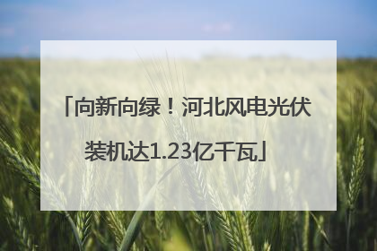 向新向绿！河北风电光伏装机达1.23亿千瓦