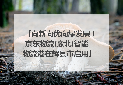向新向优向绿发展！京东物流(豫北)智能物流港在辉县市启用