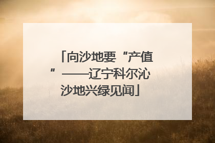 向沙地要“产值”——辽宁科尔沁沙地兴绿见闻