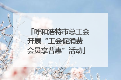 呼和浩特市总工会开展“工会促消费 会员享普惠”活动
