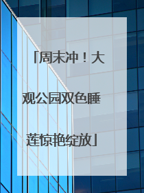 周末冲！大观公园双色睡莲惊艳绽放