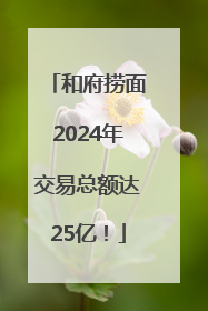 和府捞面2024年交易总额达25亿！