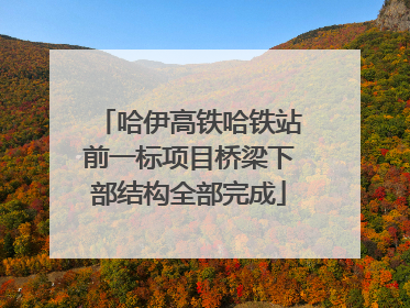 哈伊高铁哈铁站前一标项目桥梁下部结构全部完成