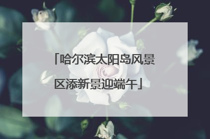 哈尔滨太阳岛风景区添新景迎端午