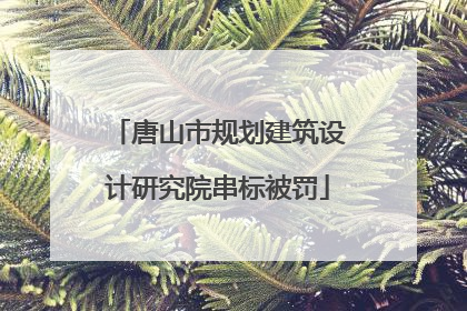 唐山市规划建筑设计研究院串标被罚