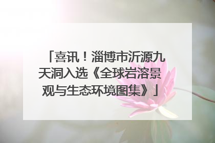 喜讯！淄博市沂源九天洞入选《全球岩溶景观与生态环境图集》