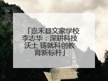 嘉禾县文家学校李志华：深耕科技沃土 铸就科创教育新标杆