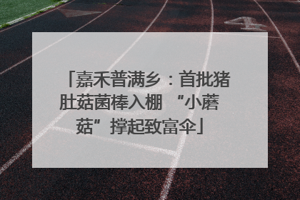 嘉禾普满乡：首批猪肚菇菌棒入棚 “小蘑菇”撑起致富伞