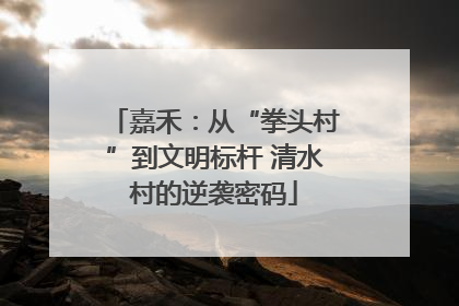 嘉禾：从“拳头村”到文明标杆 清水村的逆袭密码