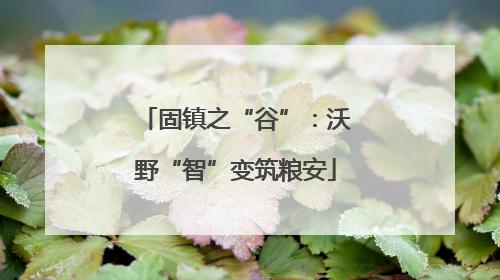 固镇之“谷”：沃野“智”变筑粮安