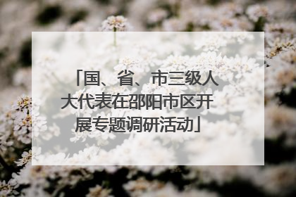 国、省、市三级人大代表在邵阳市区开展专题调研活动