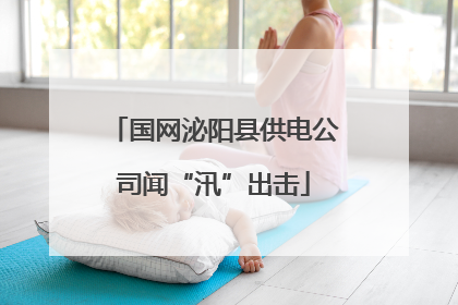 国网泌阳县供电公司闻“汛”出击