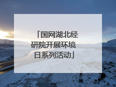 国网湖北经研院开展环境日系列活动