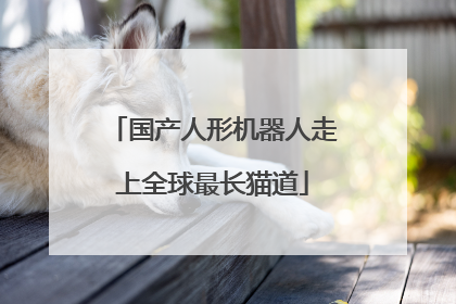 国产人形机器人走上全球最长猫道