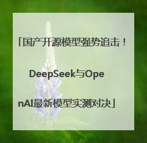 国产开源模型强势追击！DeepSeek与OpenAI最新模型实测对决