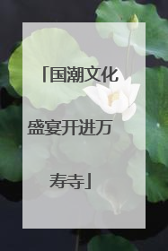 国潮文化盛宴开进万寿寺