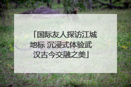 国际友人探访江城地标 沉浸式体验武汉古今交融之美