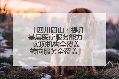 四川眉山：提升基层医疗服务能力 实现机构全覆盖转向服务全覆盖
