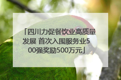 四川力促餐饮业高质量发展 首次入围服务业500强奖励500万元