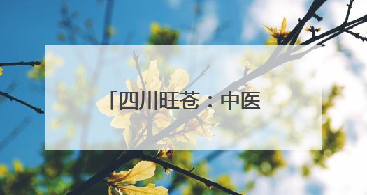 四川旺苍：中医夜市点燃夏日 “健康烟火”