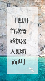 四川首款情感机器人即将面世