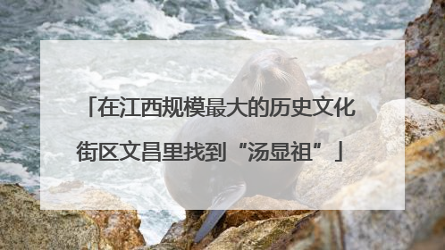 在江西规模最大的历史文化街区文昌里找到“汤显祖”