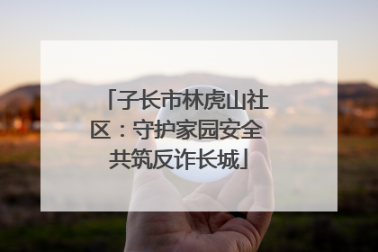 子长市林虎山社区：守护家园安全 共筑反诈长城