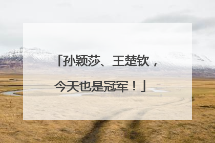 孙颖莎、王楚钦，今天也是冠军！