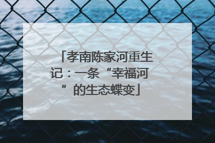 孝南陈家河重生记：一条“幸福河”的生态蝶变