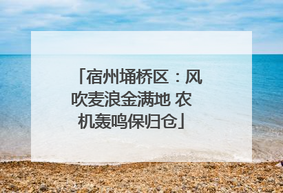 宿州埇桥区：风吹麦浪金满地 农机轰鸣保归仓