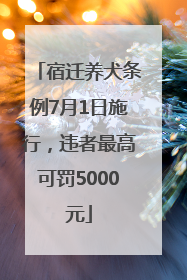 宿迁养犬条例7月1日施行，违者最高可罚5000元