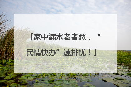 家中漏水老者愁，“民情快办”速排忧！
