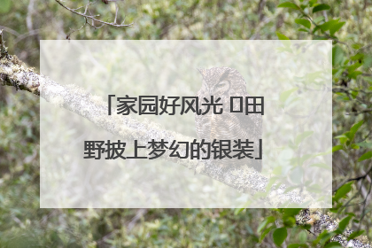家园好风光 ⎮田野披上梦幻的银装