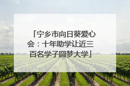 宁乡市向日葵爱心会：十年助学让近三百名学子圆梦大学
