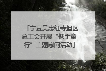 宁夏吴忠红寺堡区总工会开展“携手童行”主题慰问活动