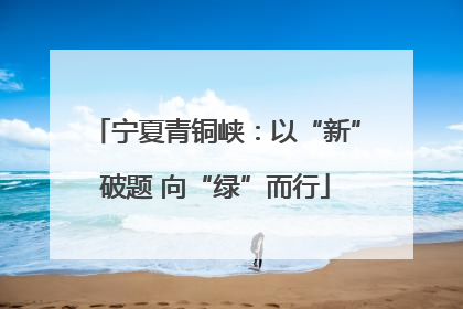 宁夏青铜峡：以“新”破题 向“绿”而行