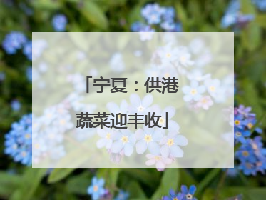 宁夏：供港蔬菜迎丰收